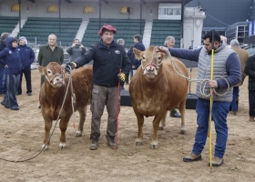 Palermo 2026: Tim Payne y Tini Tini inauguraron el ingreso de animales a la Exposición Rural